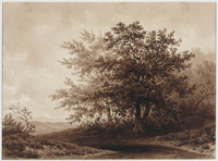 TvB T 464
<br/>
Heuvellandschap met beek en bomen
<br/>
<em>Huysmans, Constantinus Cornelis (1810-1886)</em>